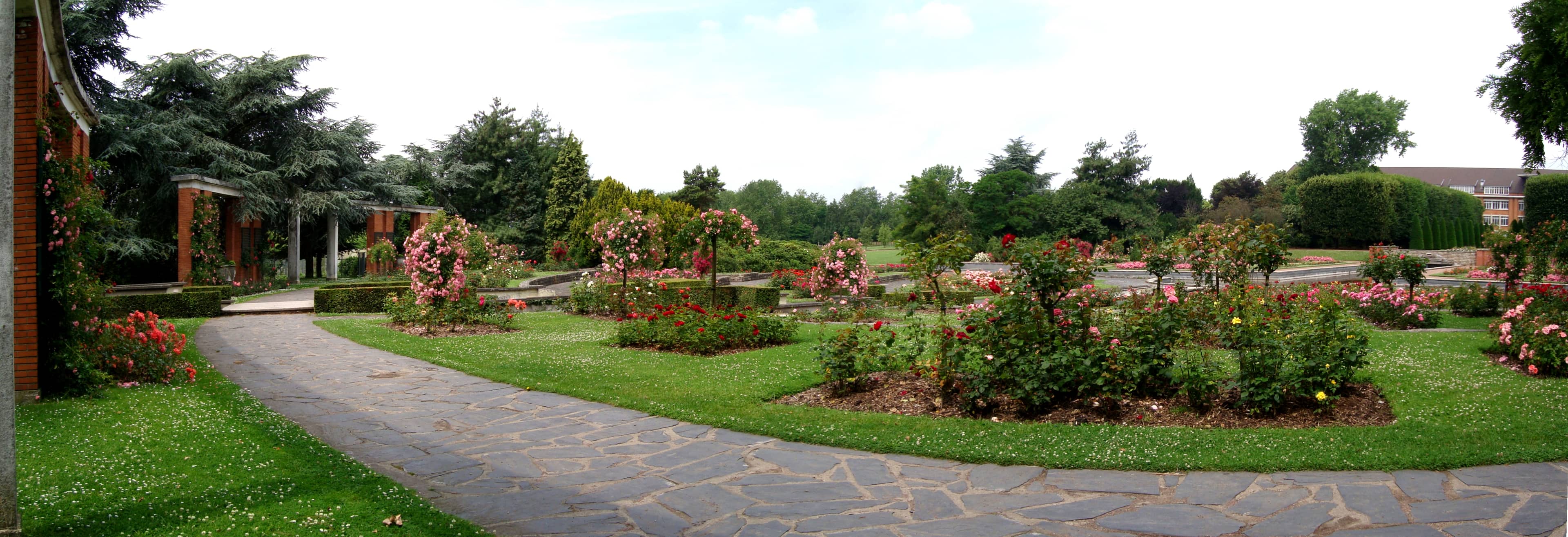 Rose Garden