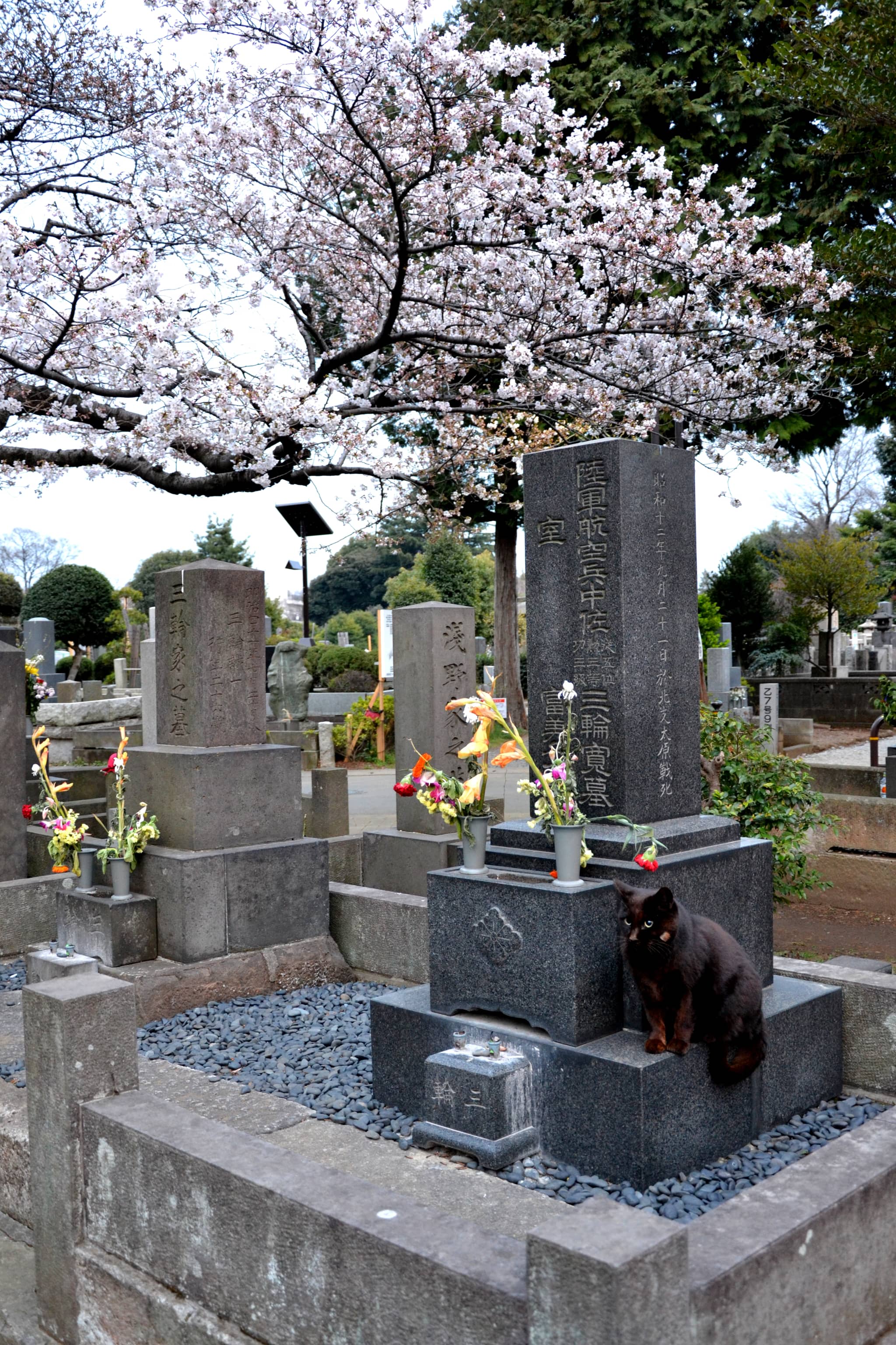 Historic Gravesites