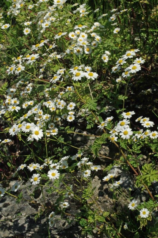 Post-Float Integration