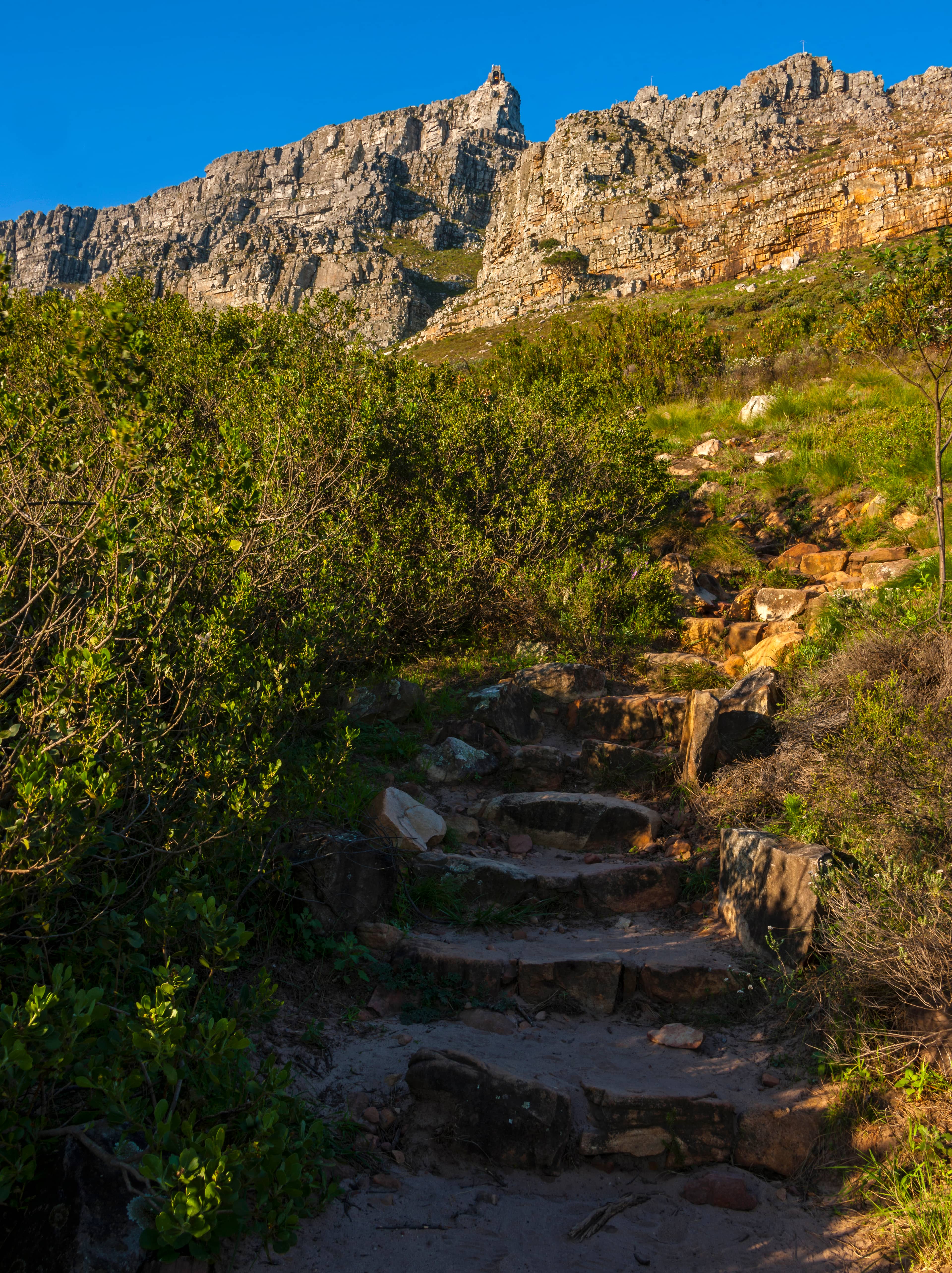 Summiting Table Mountain