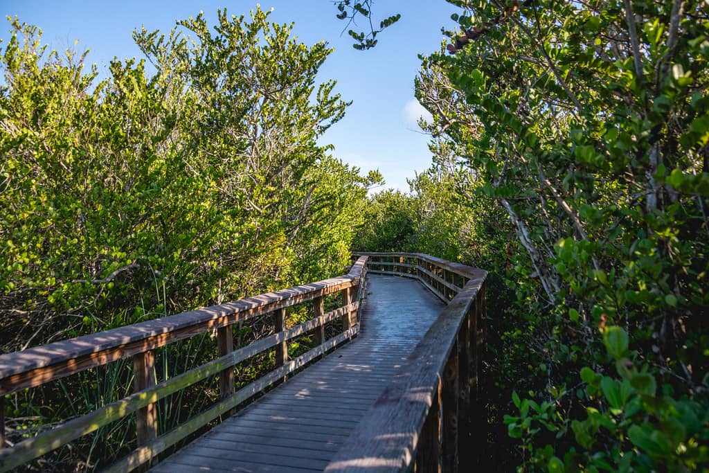 Hiking and Biking Trails