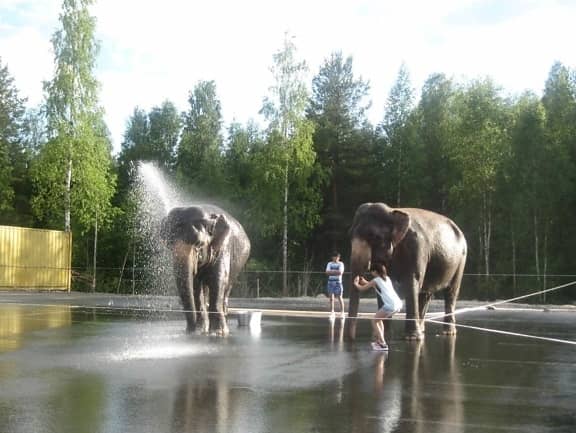 Cascading Water Fountain
