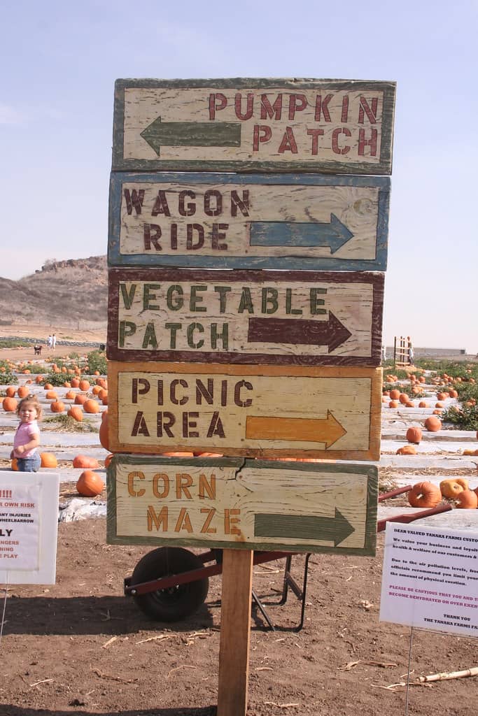 Seasonal Pumpkin Patch