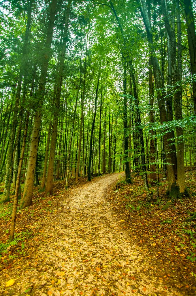 Lakeside Walks & Bike Paths