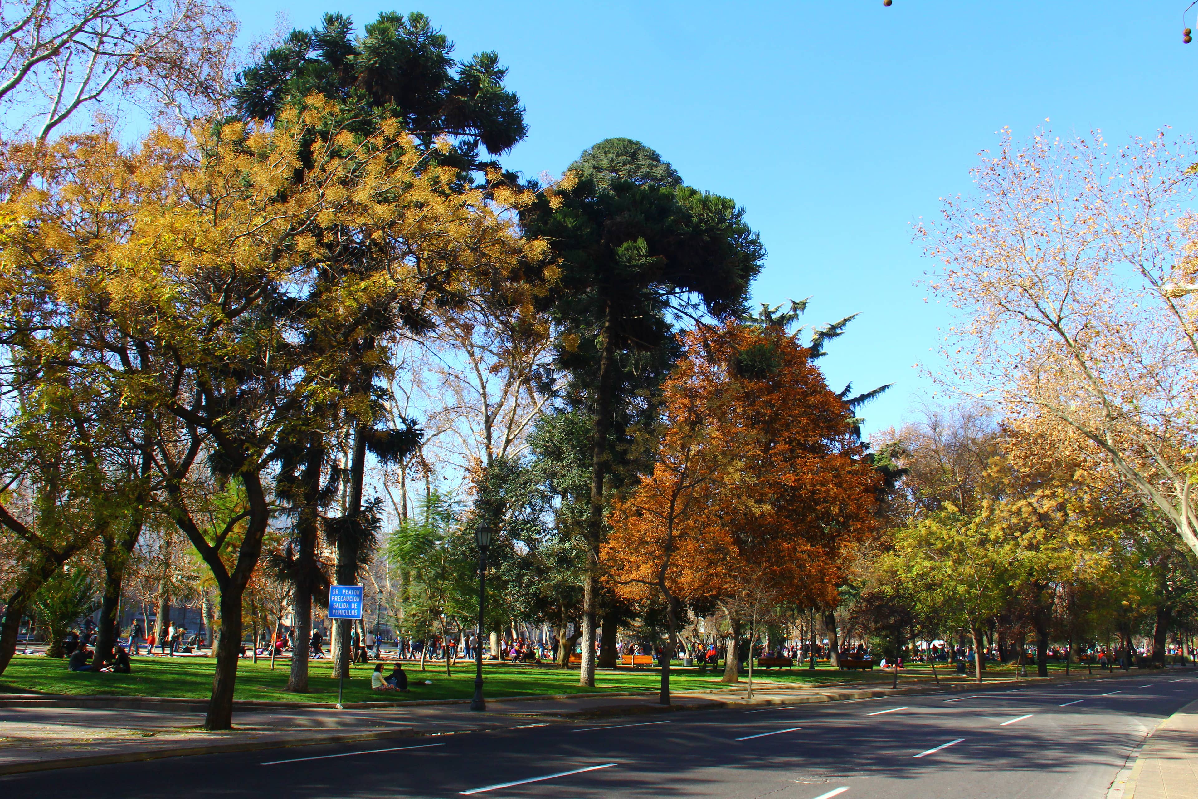 Parque Forestal