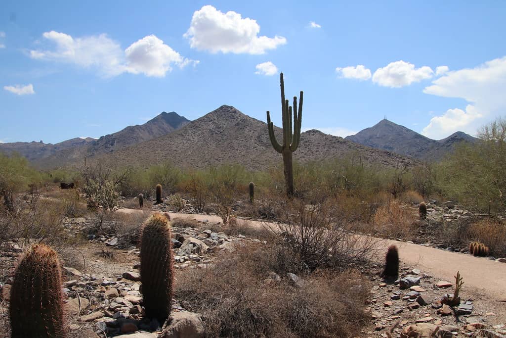 McDowell Sonoran Preserve