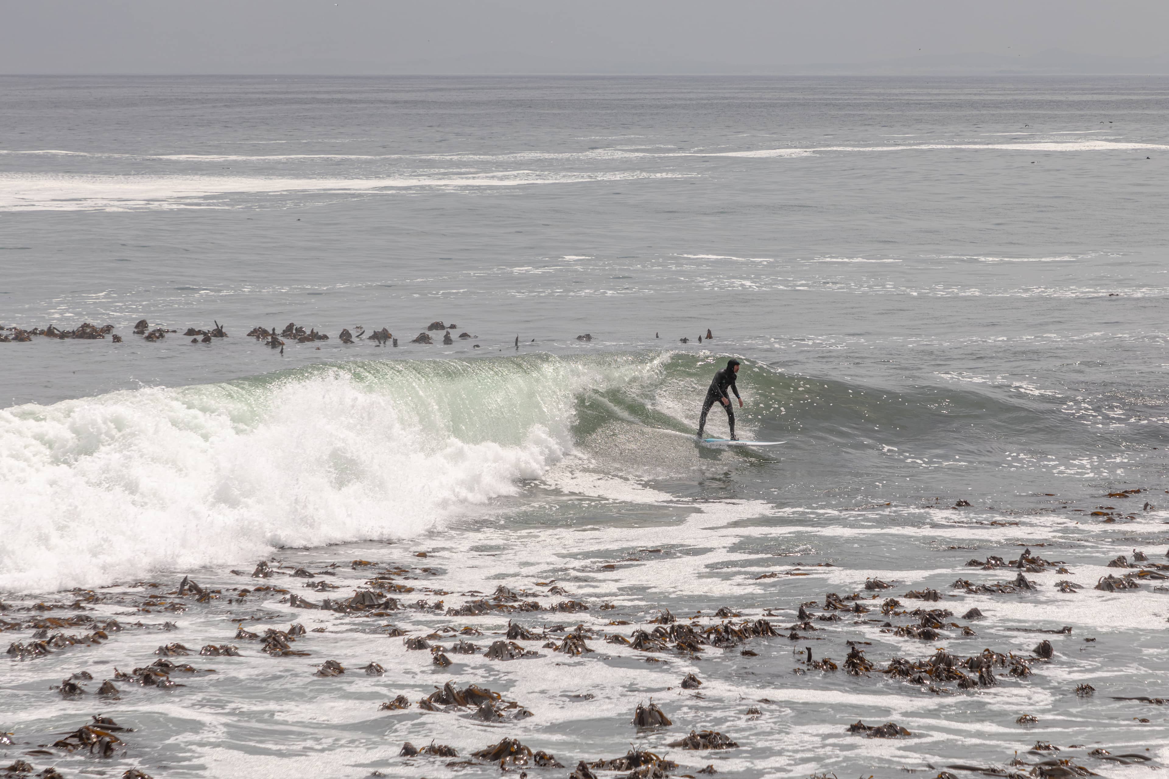 Ocean Views & Fresh Air