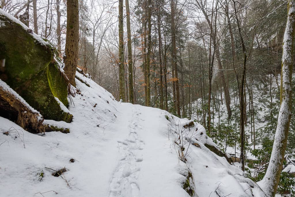 Winter Wonderland Views