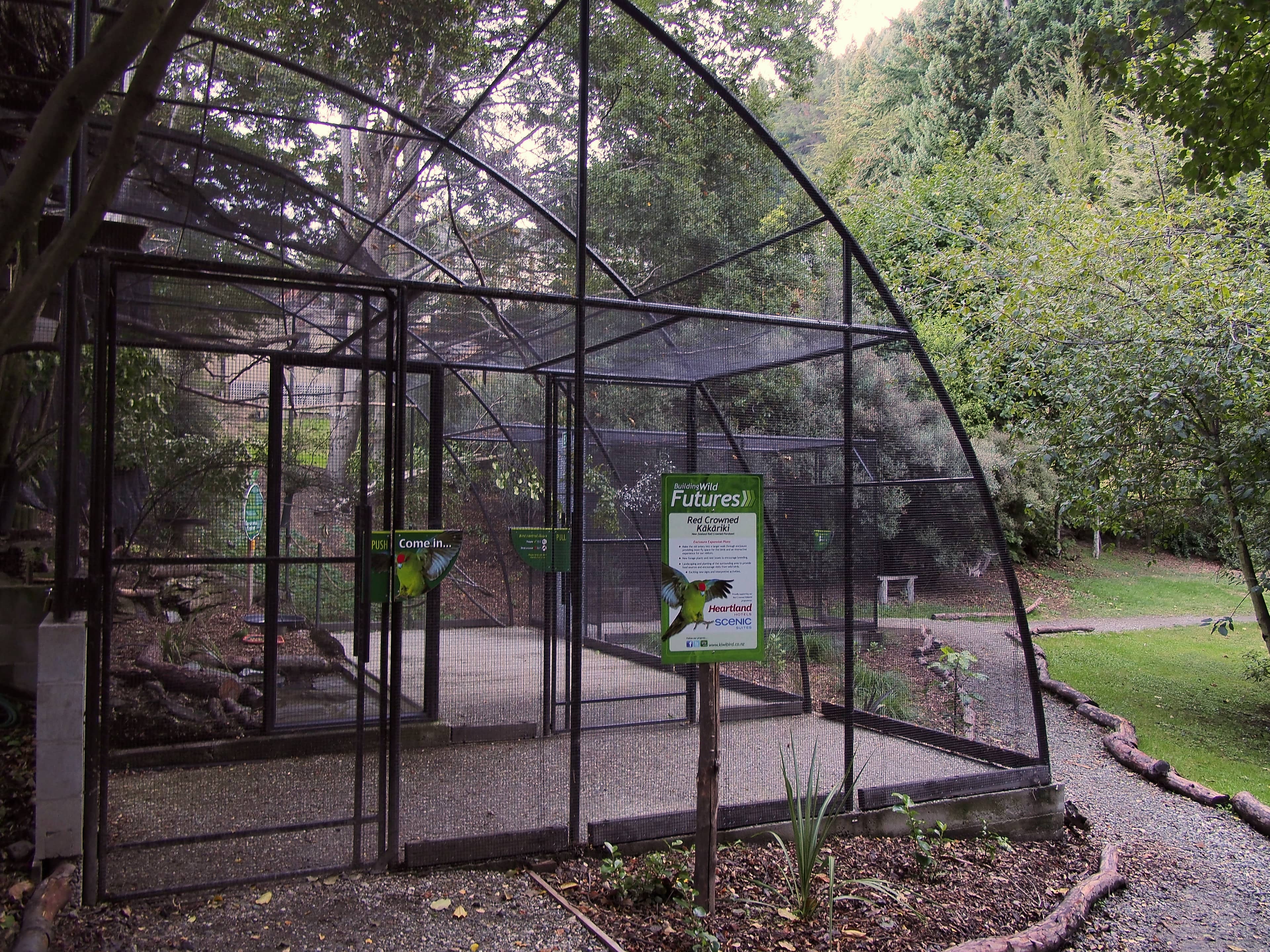 Native New Zealand Birds