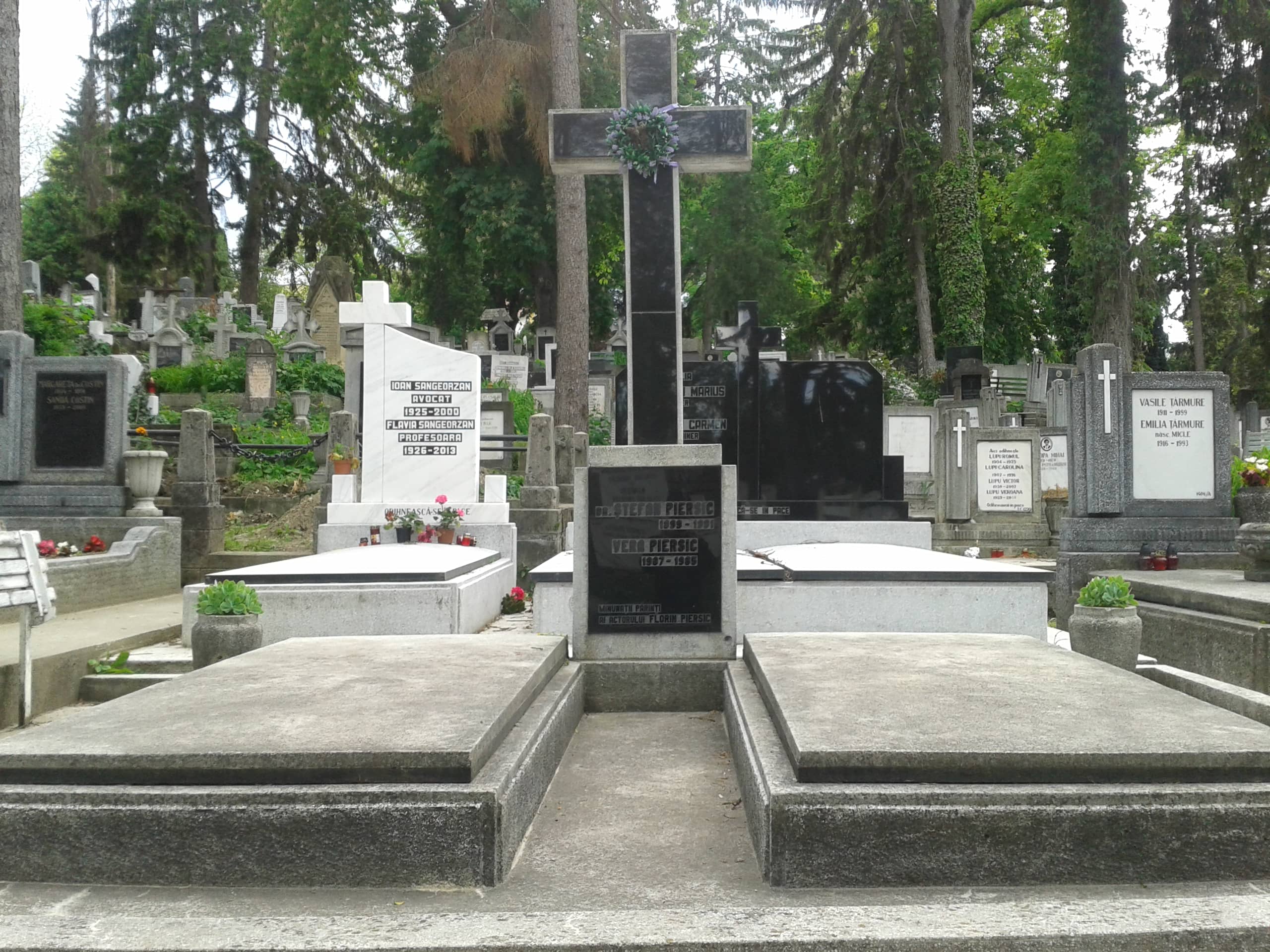 Panoramic City Views