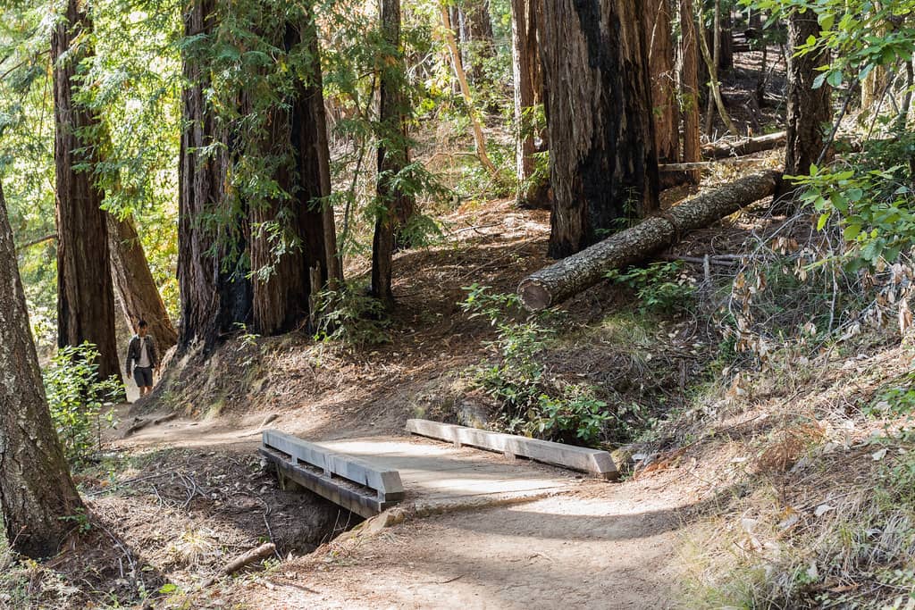 Scenic Hiking Trails