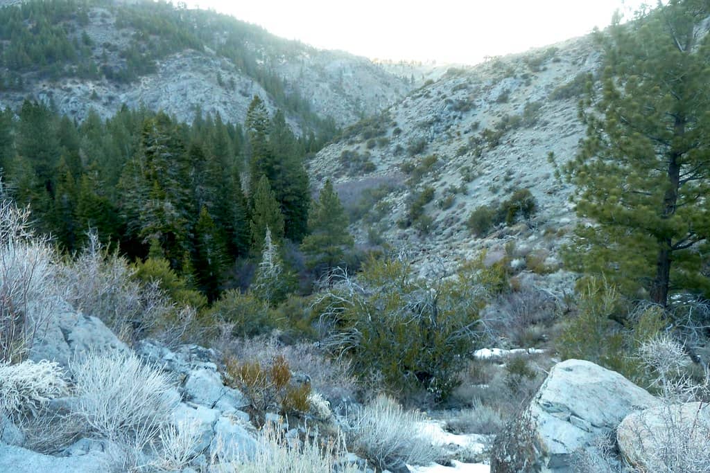 Hunter Creek Waterfall