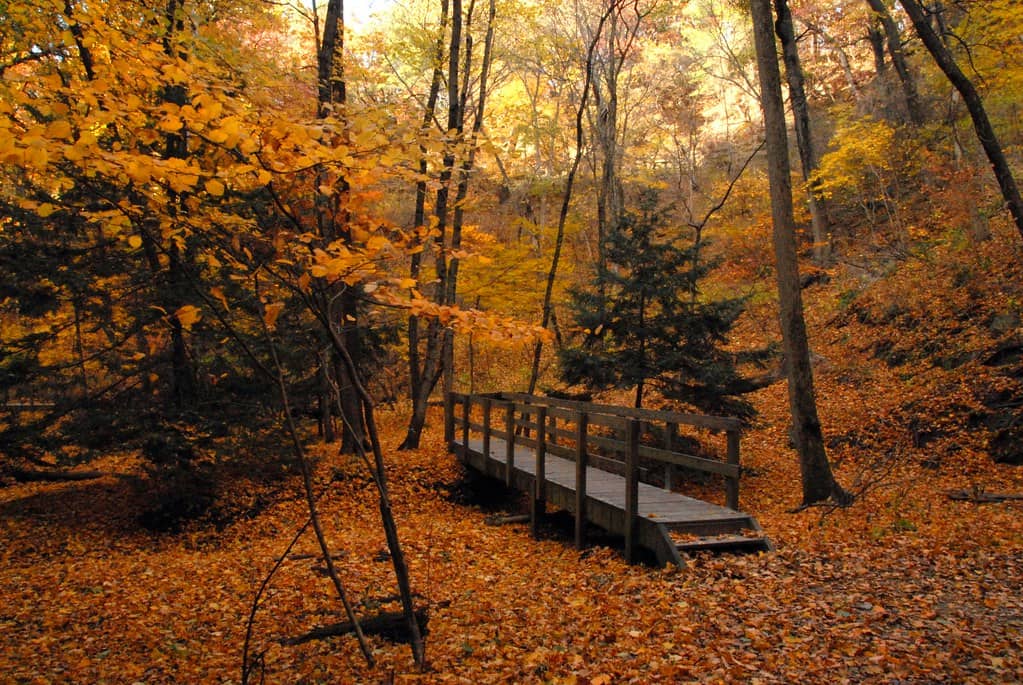 Starved Rock State Park Views