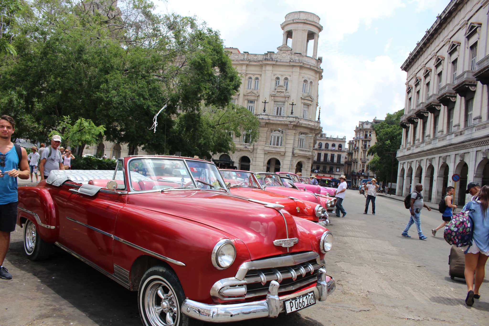 Vintage Car Showcase