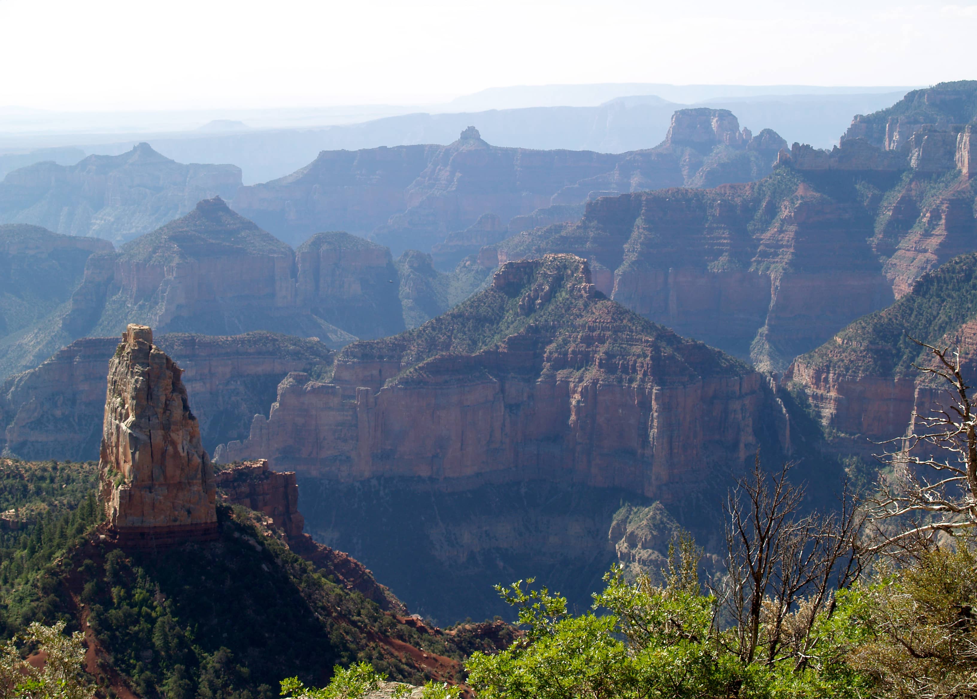Point Imperial Trail