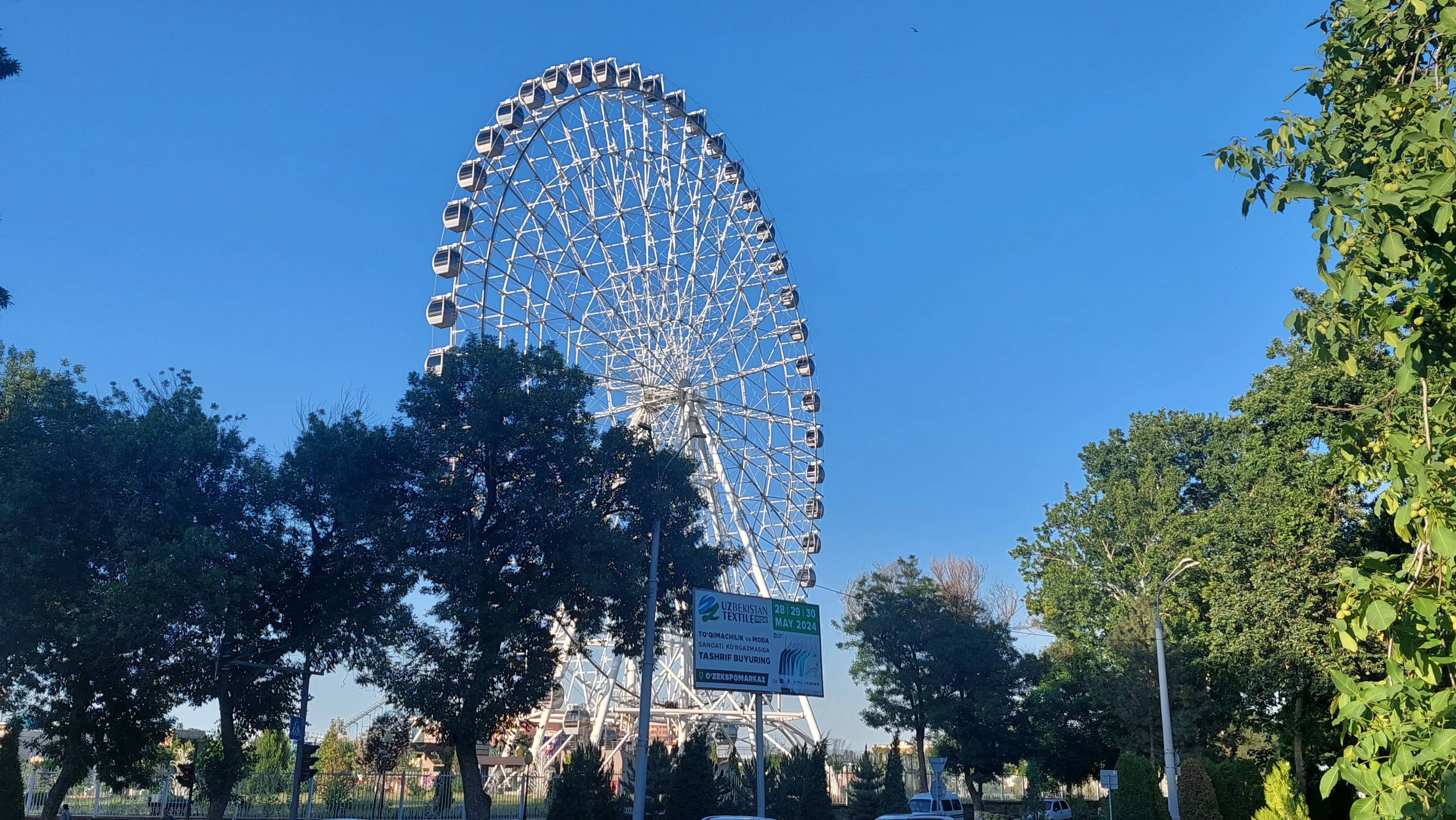 Joy Rides & Carousels