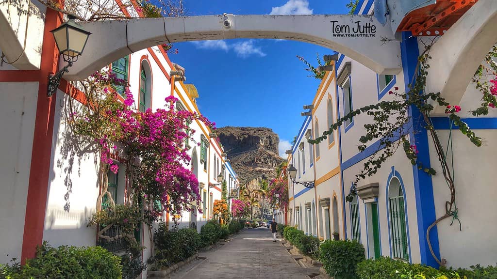 Flower-Draped Buildings
