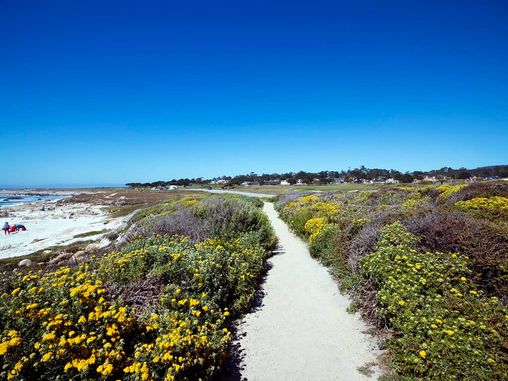 Coastal Walkways