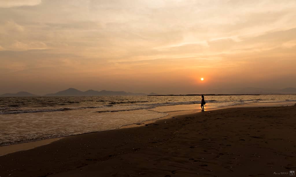 Expansive Sandy Shores