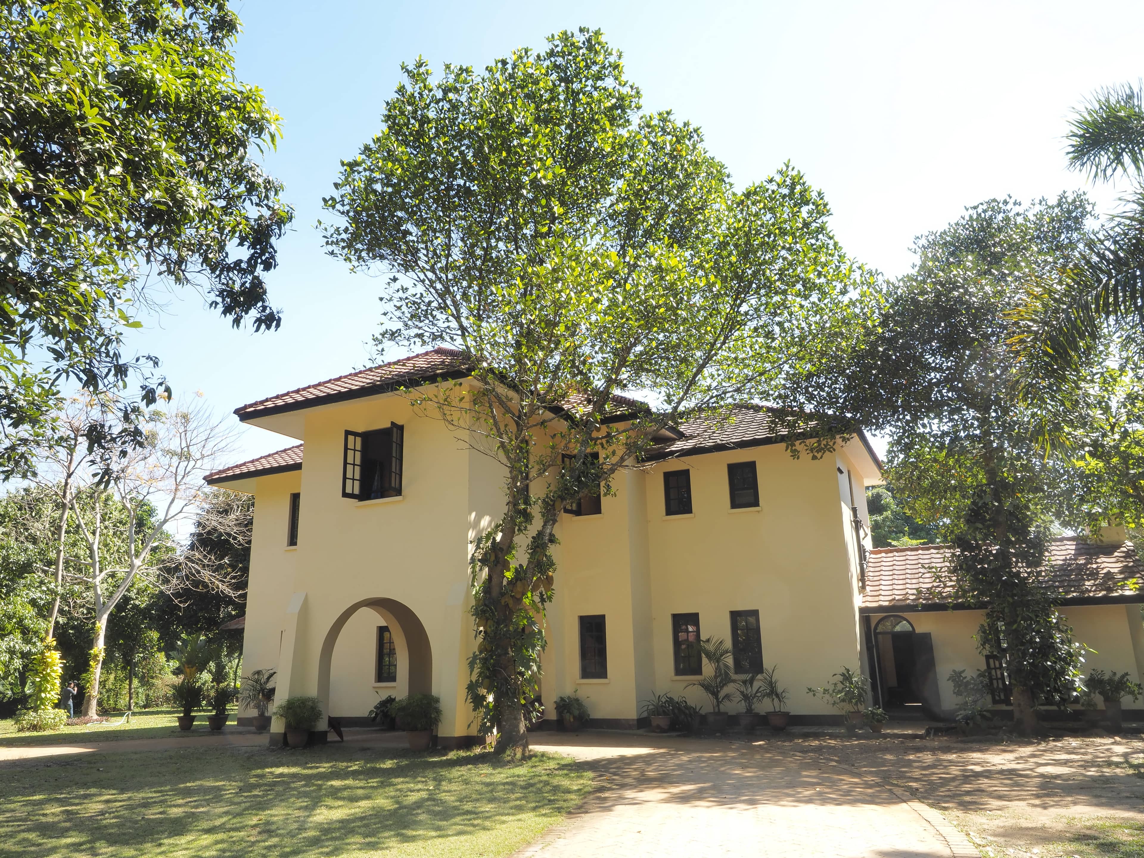 Insightful Guided Tours