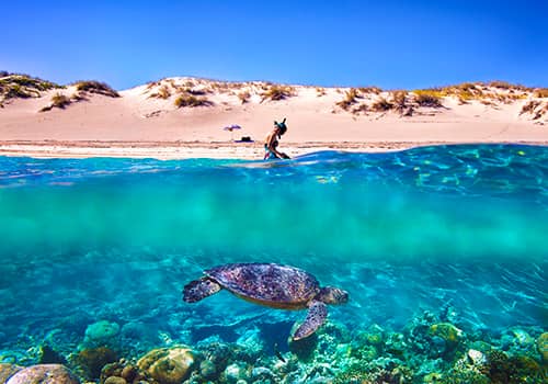 Turtle Cove Playground