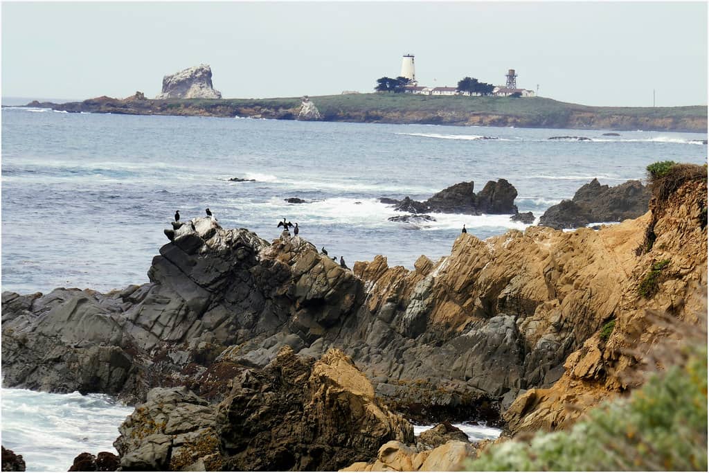 Coastal Trails & Views