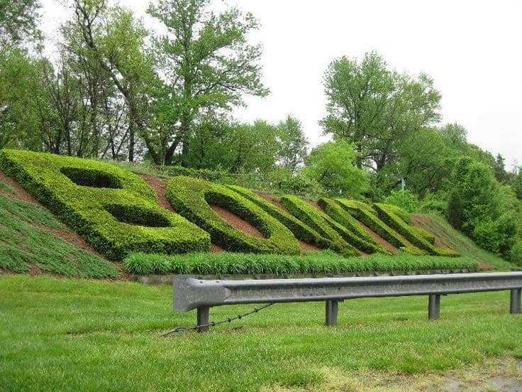Subs Bench & Technical Area