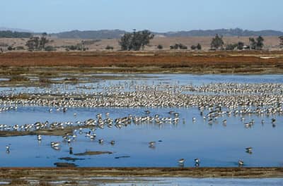 Birdwatching Paradise