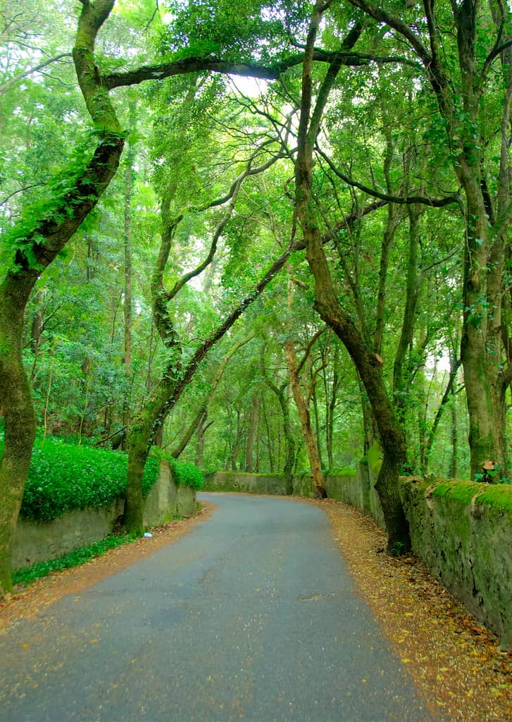 Hiking Trails in Sintra-Cascais Park