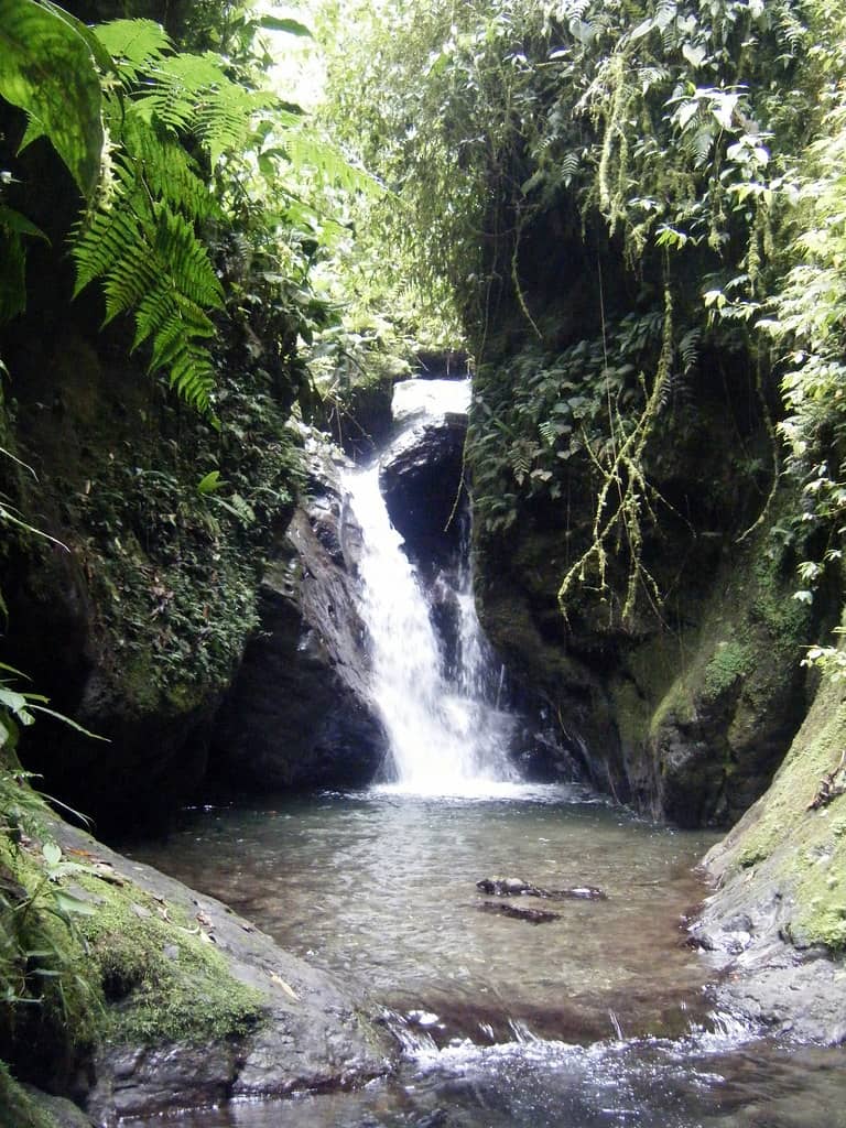 Cascading Waterfalls