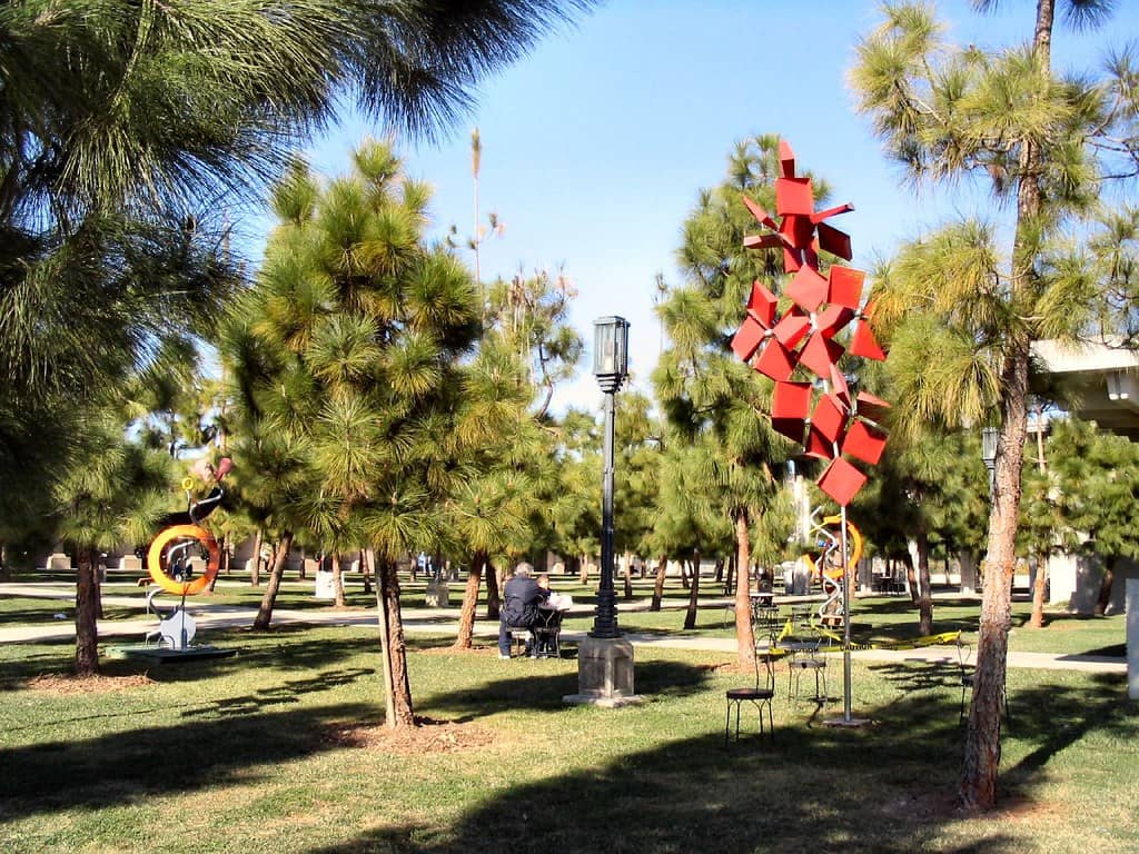 Picnic and BBQ Areas