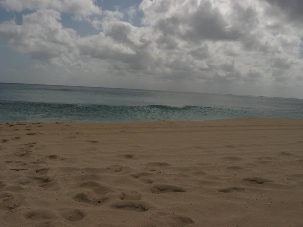 Winter Surfing Waves