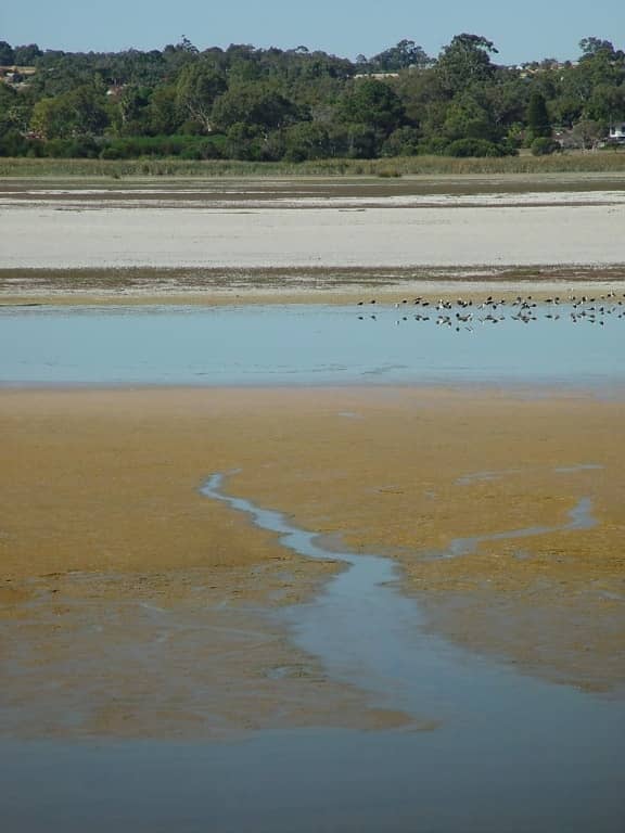 Sandy Beach Serenity