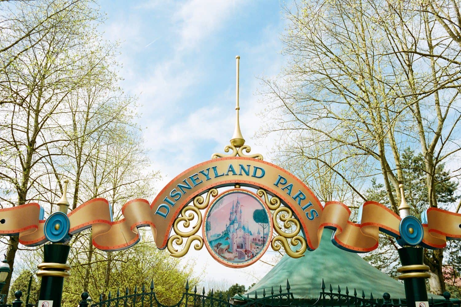 Crush's Turtle Twist