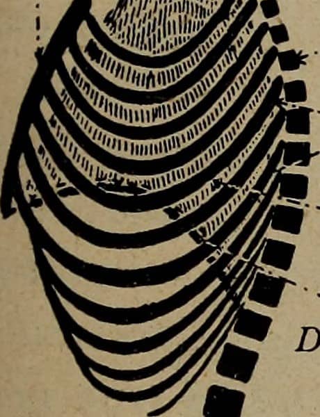 Biodiversity Exhibits