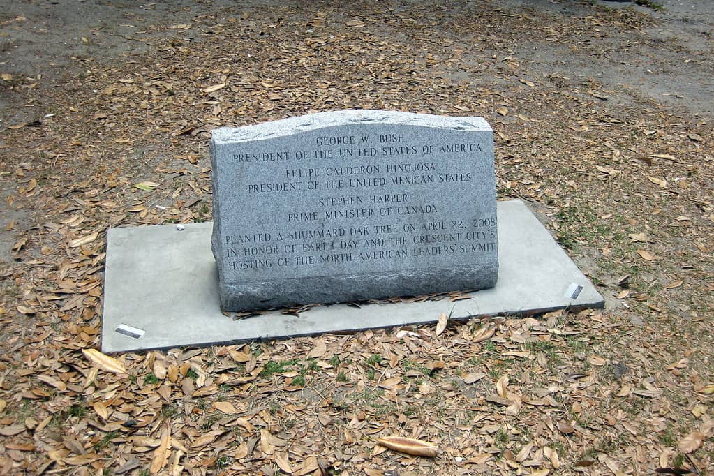 Scenic Oak-Lined Avenues