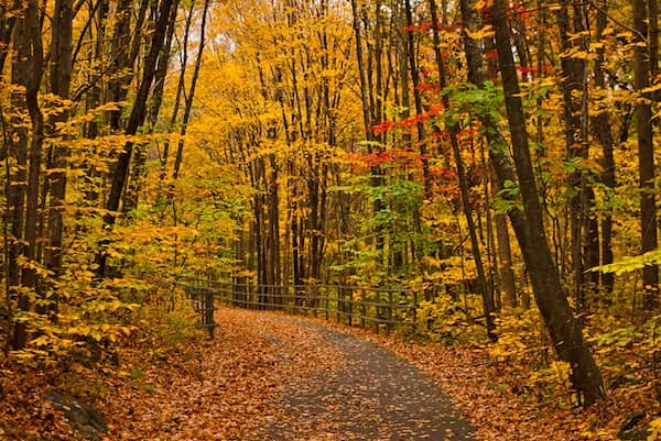 Garfield Park Destination