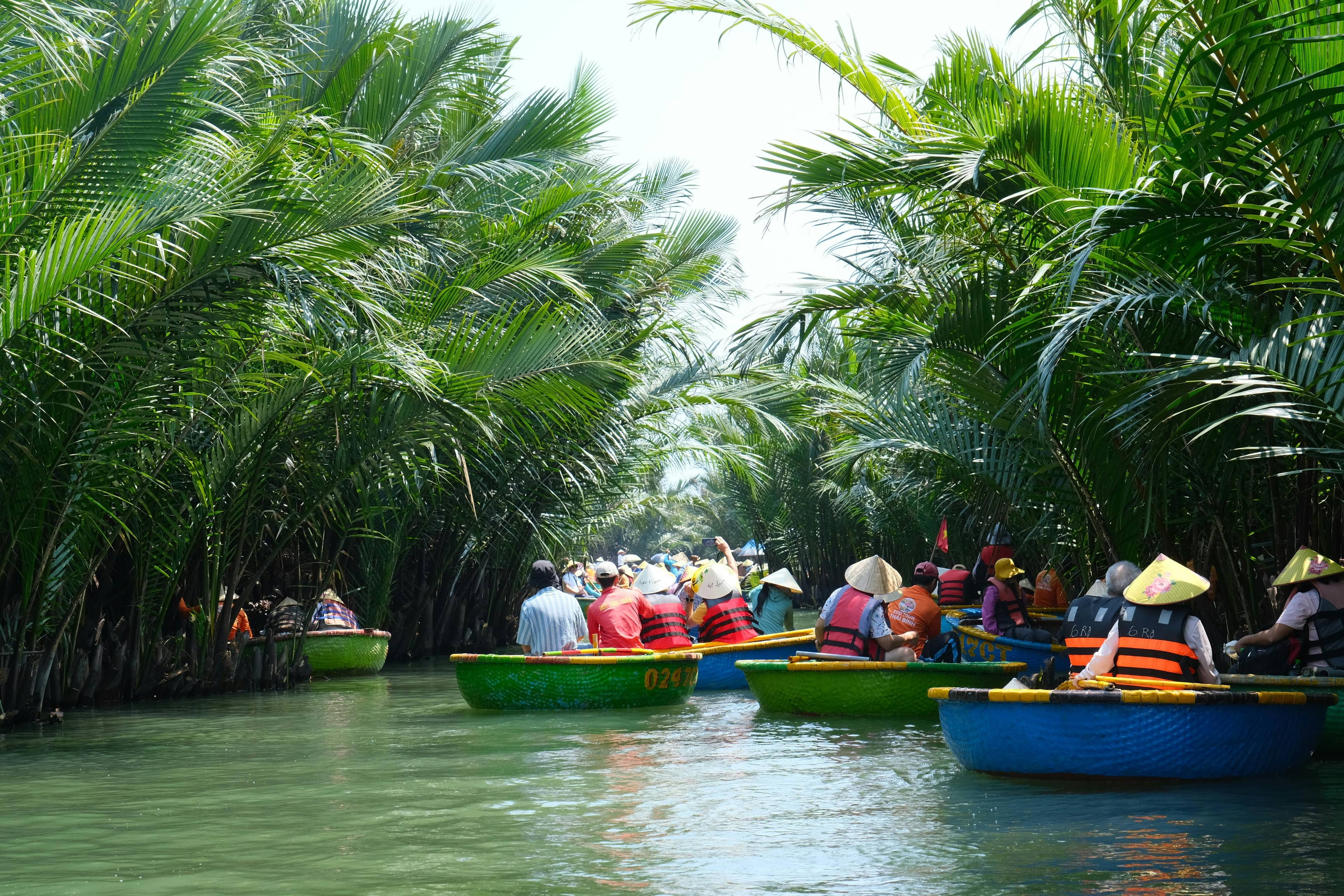 Coconut Forest Scenery