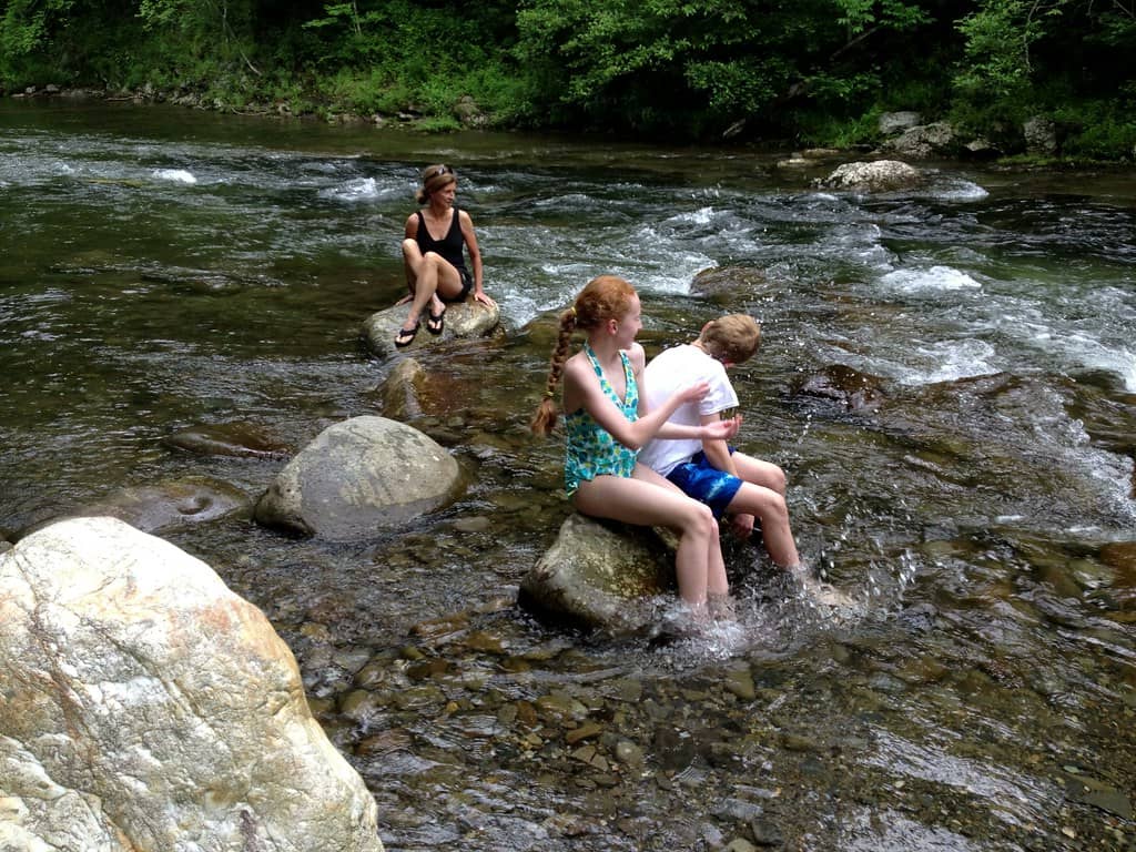 Picnic and Relaxation
