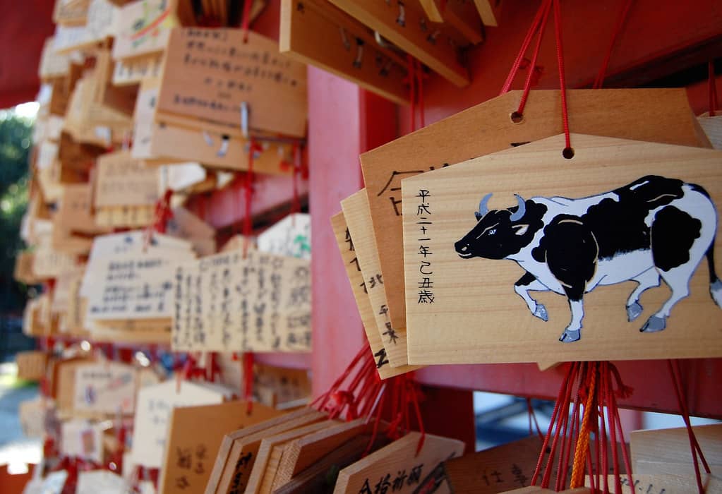 Prayer and Reflection