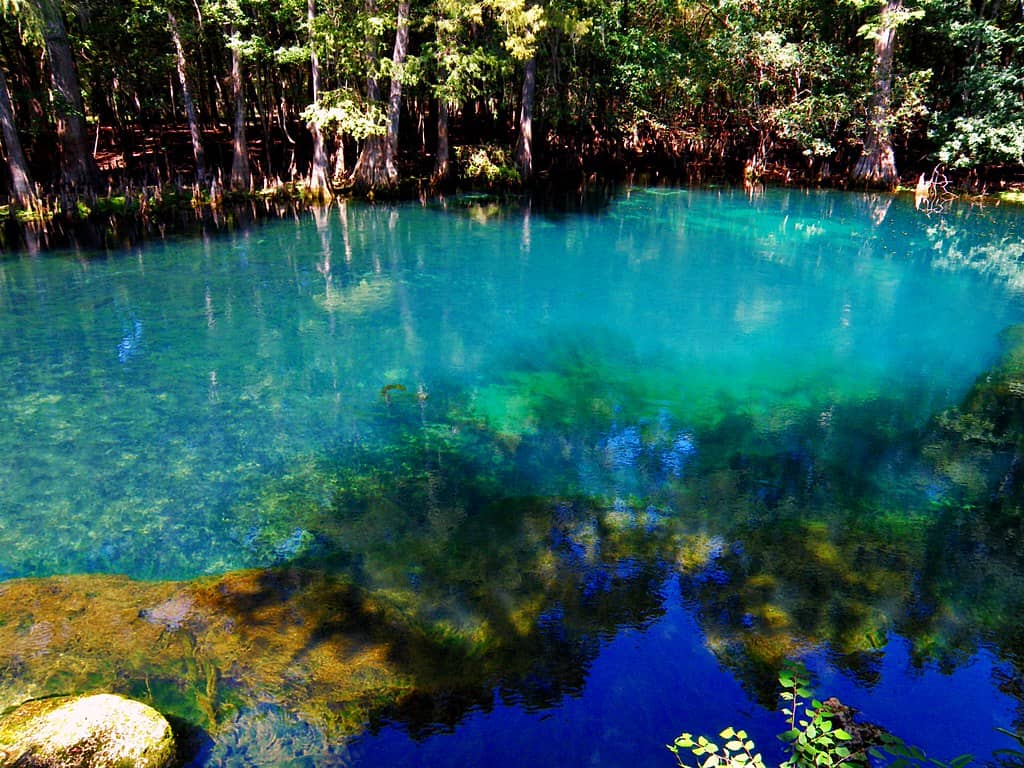 Beach-Style Swimming Area