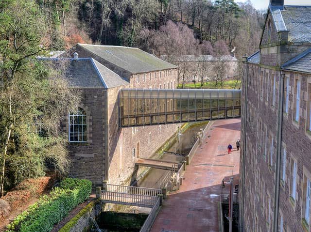 Rooftop Garden Views
