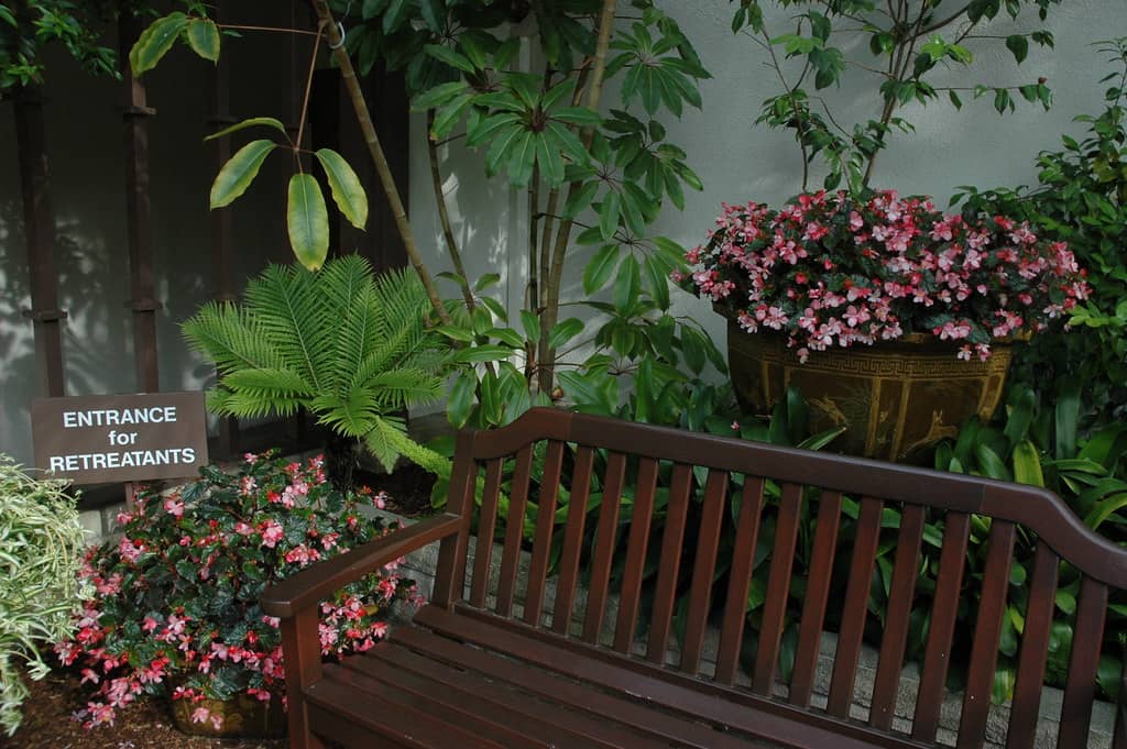 Peaceful Meditation Nooks