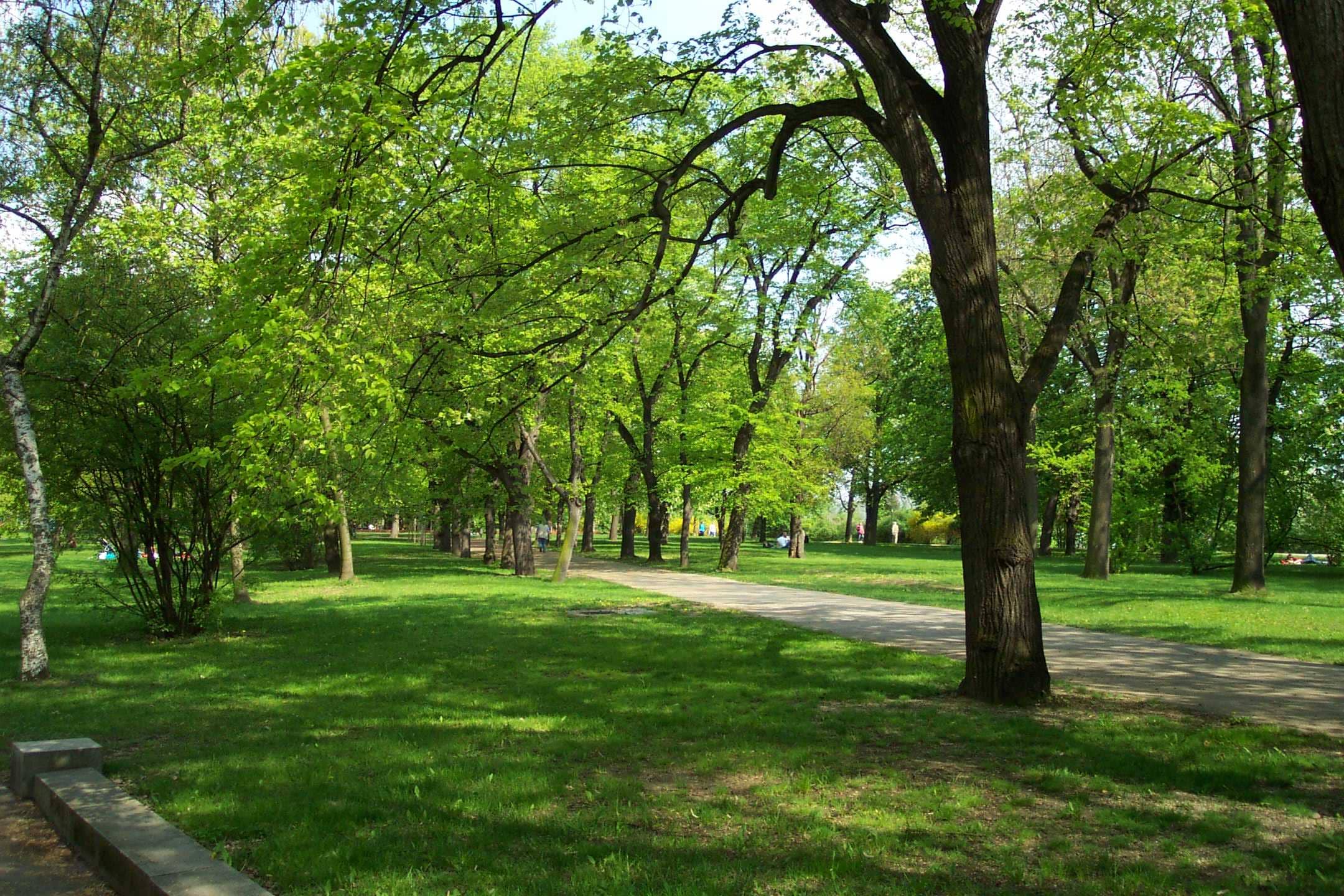 Letná Park's Green Escape