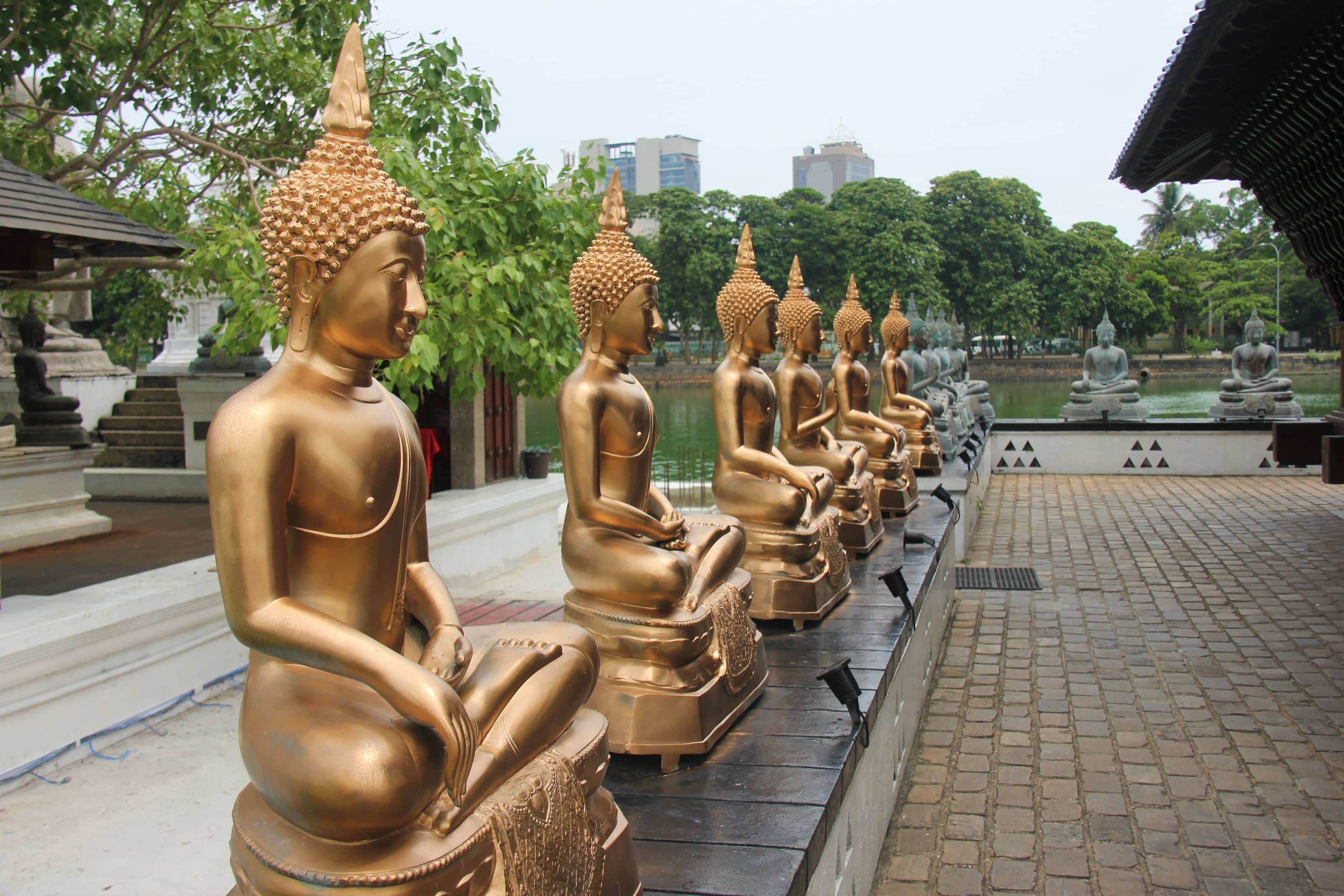 Buddha Statues