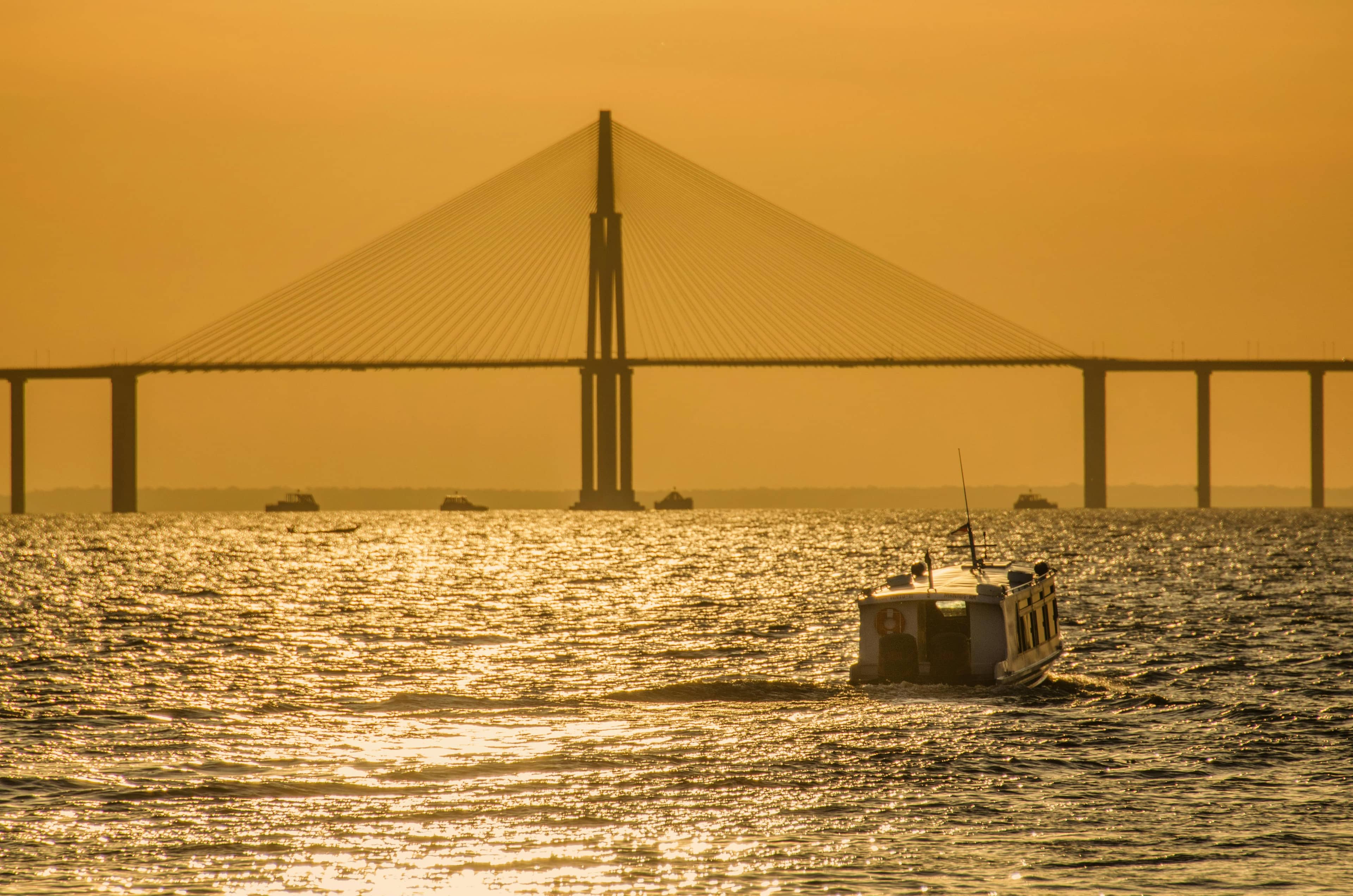 River Views from Below