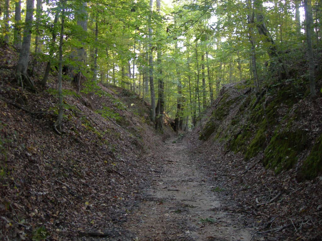 Nature Trails and Boardwalks