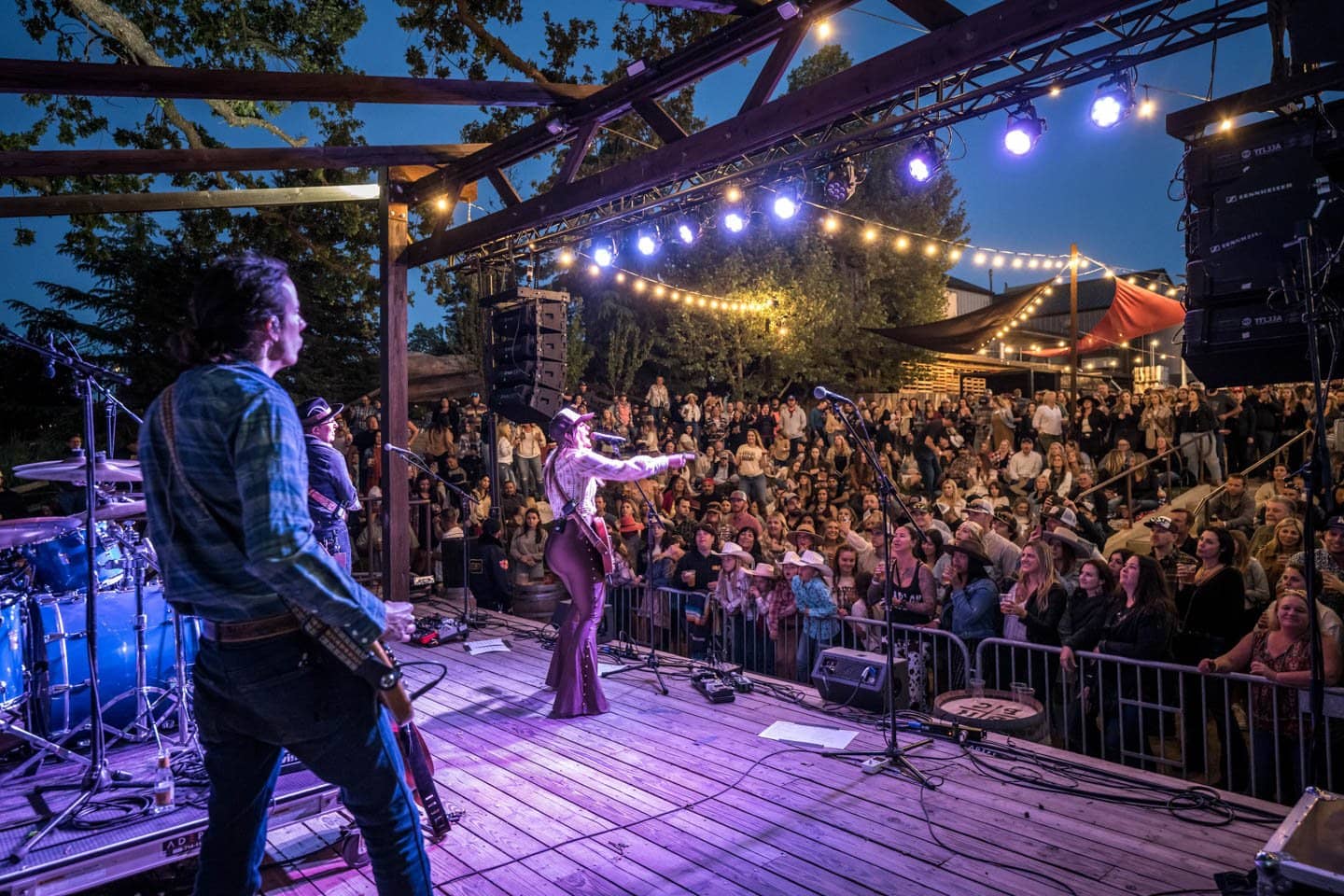 Live Music & Serenade