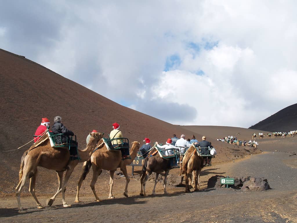 Camel Ride Adventure