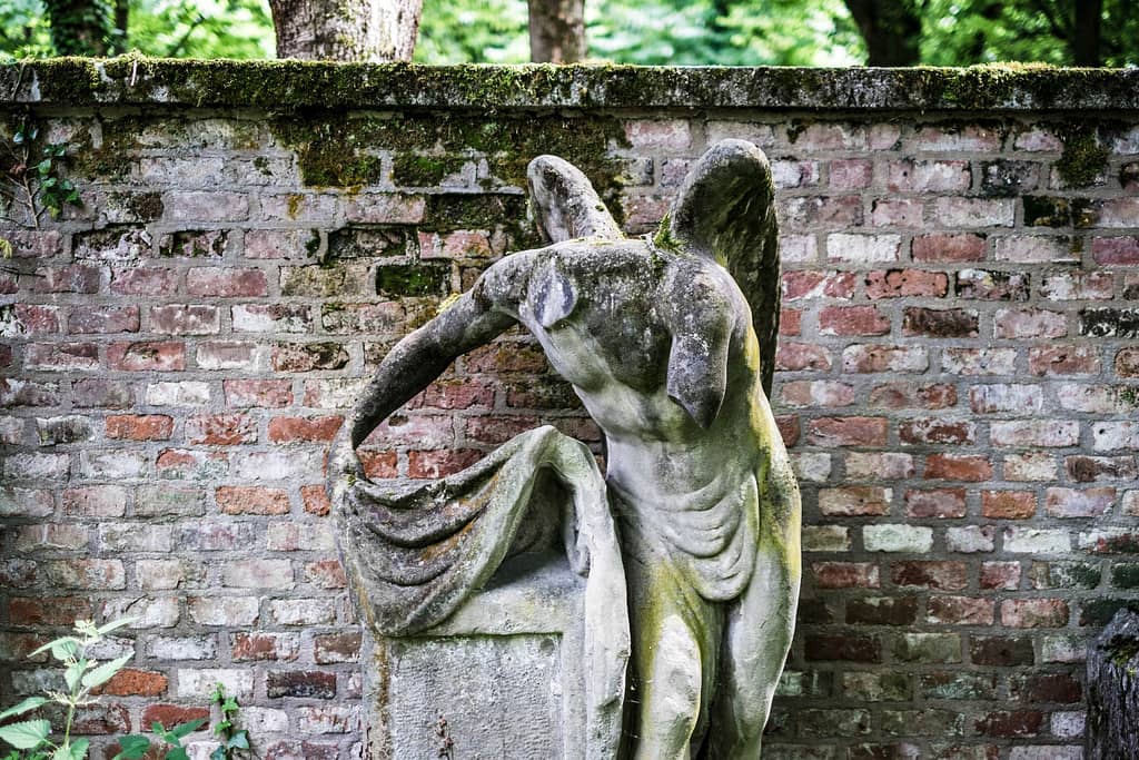 The Fountain of Love